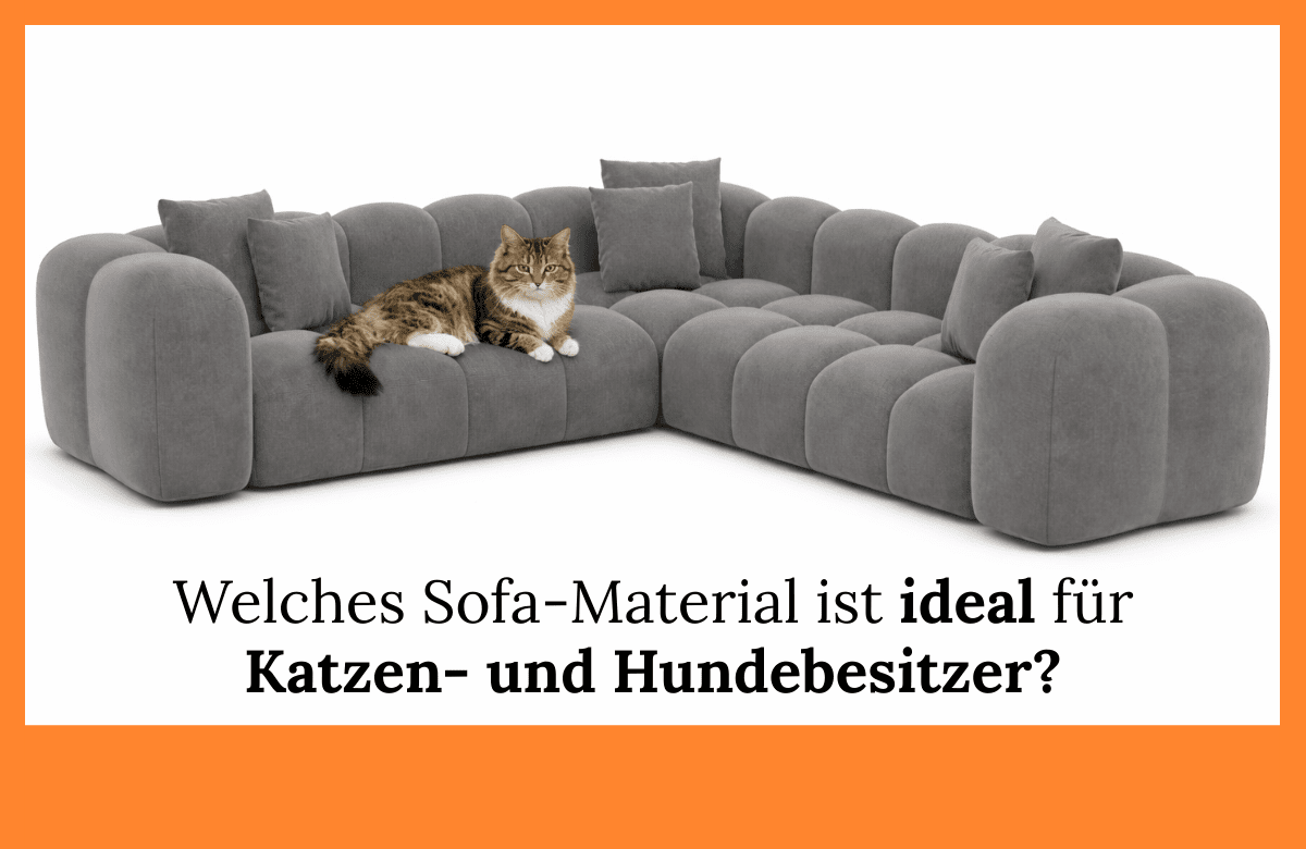 Welches Sofamaterial eignet sich für Katzen und Hunde?