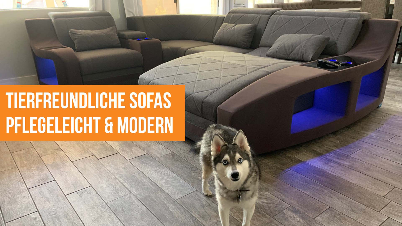 Haustierfreundliche Sofas: pflegeleicht und robust