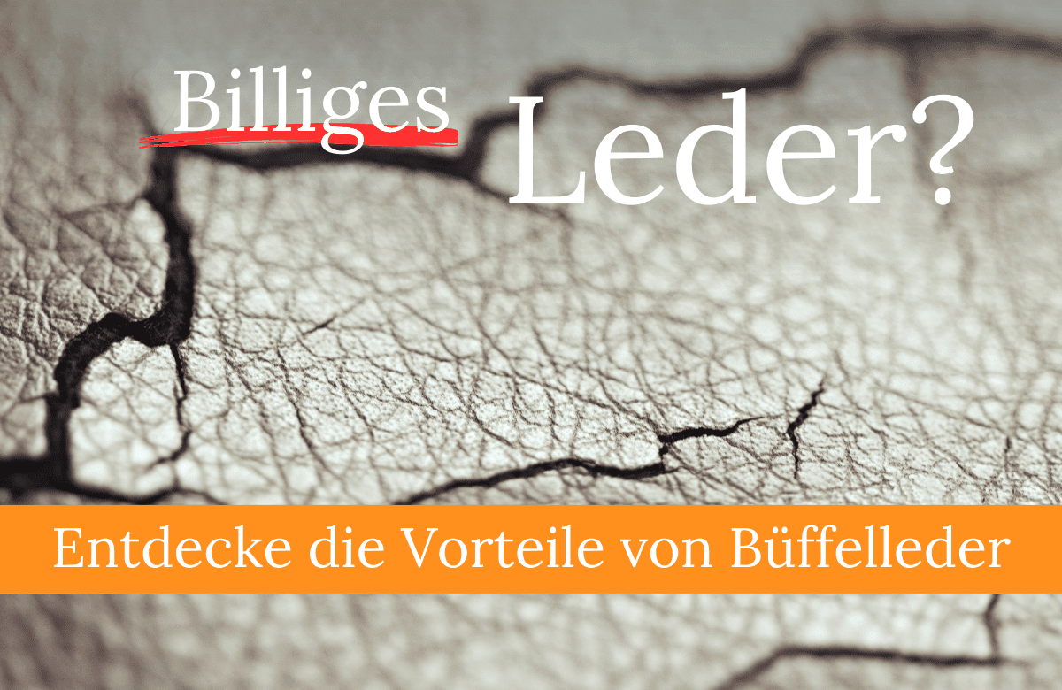 Büffelleder-Sofa: Vorteile und richtige Pflege