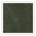 DarkGreen 5B